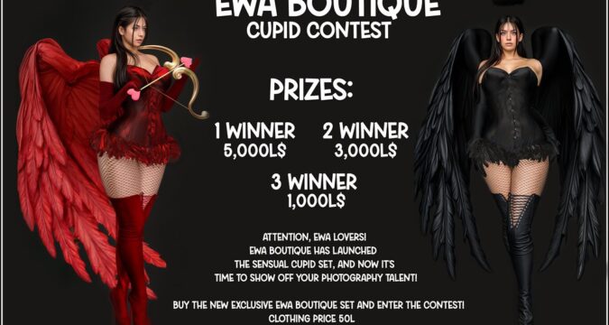 Ewa Boutique. CONTEST