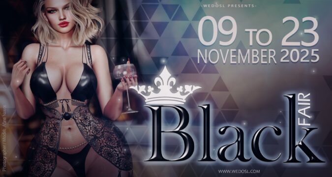 Black Fair Event – November 2025