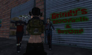 62aa0814bf14ff11adb7ada5 50e5d8e31732c881242398 Second Life