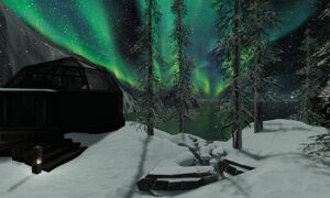 6963c03b0dd37bb2ffce45ac 6963bf2a241a7706327554 Second Life