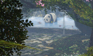 6967fd61bdf664468a321a61 6967fd27583f5595273470 Second Life