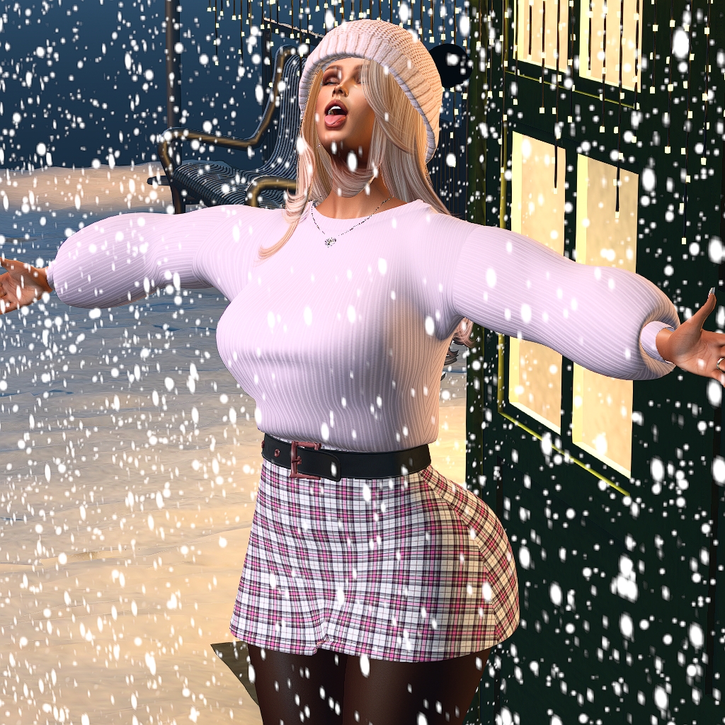 Snapshot 2026 02 19 203452 001 Second Life