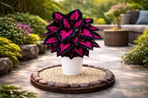 Stylized Neon Plant Second Life