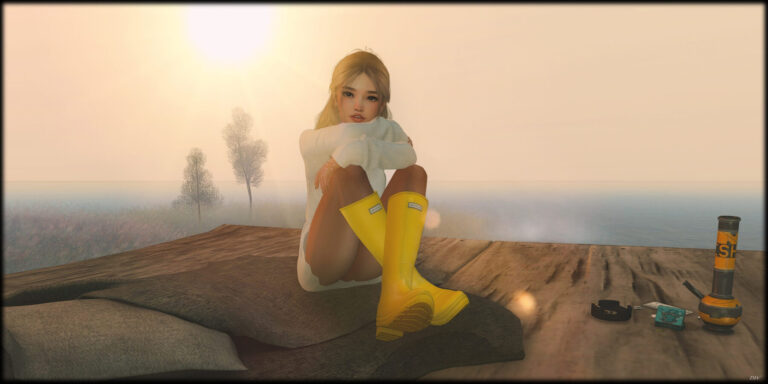 Frame Sittingthere Second Life