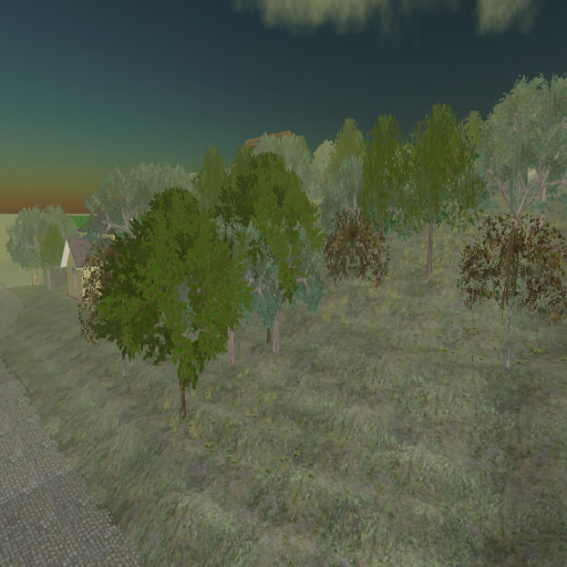 Gov Linden Forest In Zephyr 2 Second Life