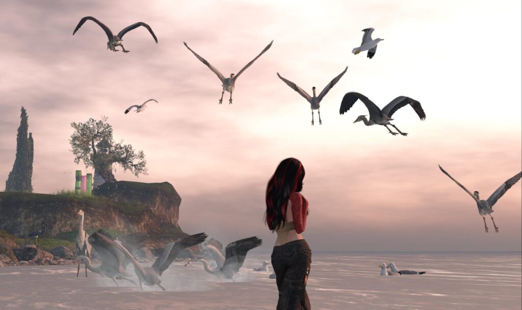 #MediaSLBestPhoto Memories of a time when I could still hope