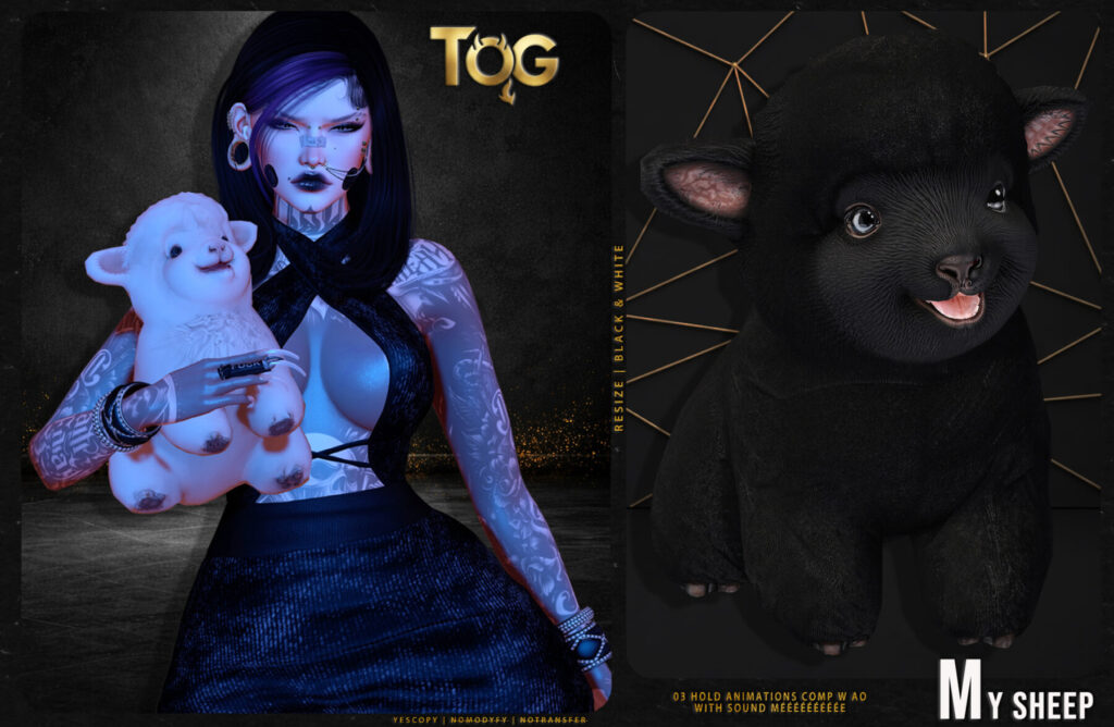Tog Mysheep Second Life