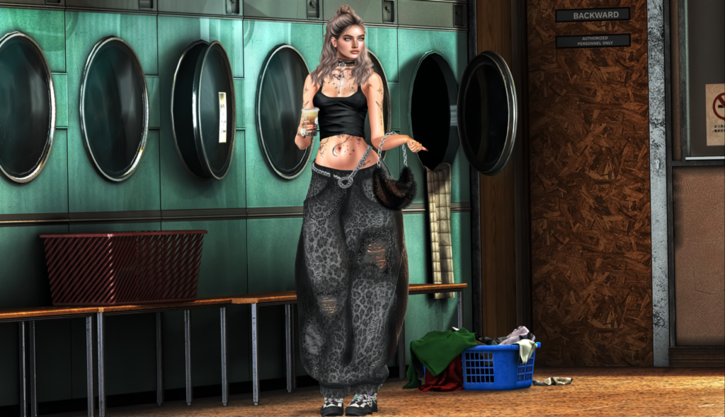 Smaller Second Life