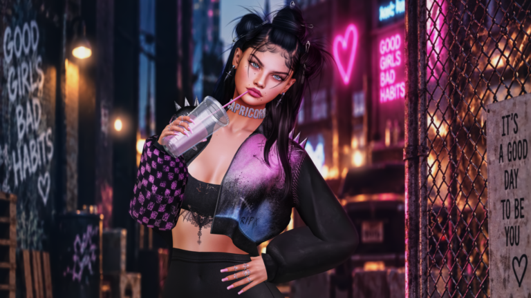 Smaller Second Life